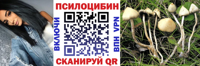 Галлюциногенные грибы Psilocybine cubensis  Ижевск 
